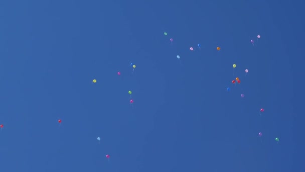 Mooie helium ballonnen vliegen door de lucht. Veel kleurrijke ballonnen vliegen in de lucht. vakantieconcept — Stockvideo