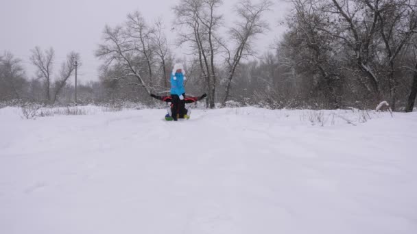 Conceito de infância feliz. criança e mãe trenó na neve. Filha e mãe brincam no parque de inverno nas férias de Natal. férias de inverno da família. conceito de família feliz. conceito de família feliz — Vídeo de Stock