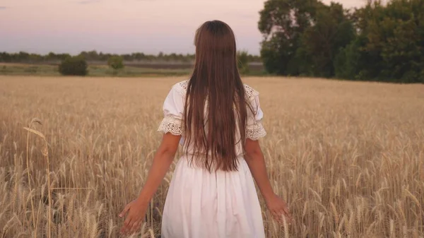 Mujer viaja en el campo. El concepto de ecoturismo. Una niña feliz camina a través de un campo de trigo amarillo y toca las espigas de trigo con sus propias manos. Movimiento lento . —  Fotos de Stock