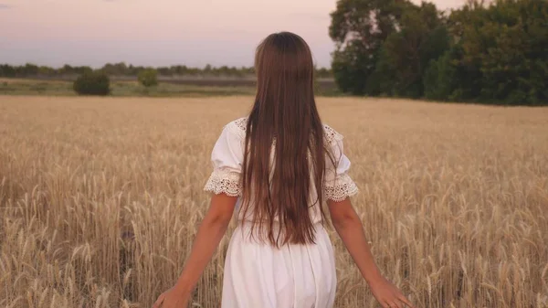 A mulher viaja no terreno. O conceito de ecoturismo. Uma menina feliz atravessa um campo de trigo amarelo e toca as orelhas de trigo com suas próprias mãos. Movimento lento . — Fotografia de Stock