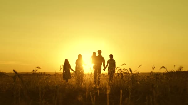 幸福童年的概念。 快乐的大家庭在夕阳西下走过田野. 父母和三个孩子晚上在公园里散步。 假期和旅行。 慢动作 幸福家庭的概念 — 图库视频影像