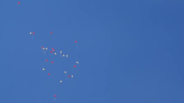 美しいヘリウム気球が空中を飛行します空気中を飛ぶ多くのカラフルな風船。休日のコンセプト — ストック動画