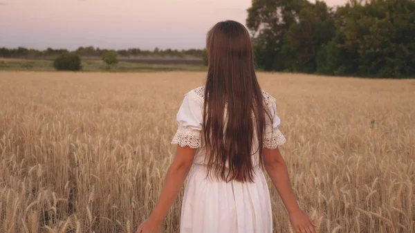A mulher viaja no terreno. O conceito de ecoturismo. Uma menina feliz atravessa um campo de trigo amarelo e toca as orelhas de trigo com suas próprias mãos. Movimento lento . — Fotografia de Stock