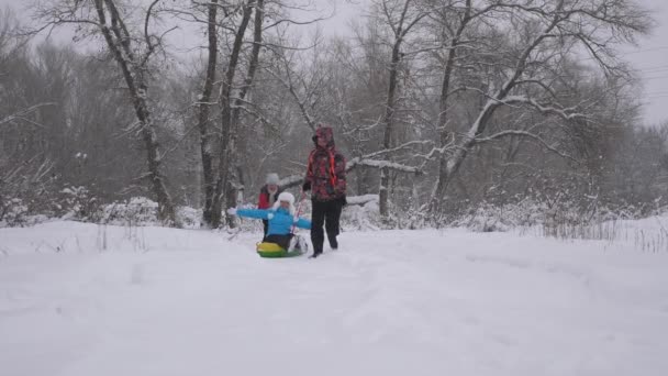 Boldog családi koncepció. Családi játékok a téli parkban a karácsonyi ünnepek. Apa és lánya szánkóztak az anyjukkal a téli erdőben, hóesésben. boldog szülők és baba játék a karácsonyi parkban. — Stock videók