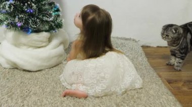 Noel ağacının yanındaki bir odada küçük bir kız ve bir kedi oynuyorlar. Mutlu çocukluk kavramı. Çocuk ve güzel çelenkleri olan Noel ağacı. Noel tatili konsepti