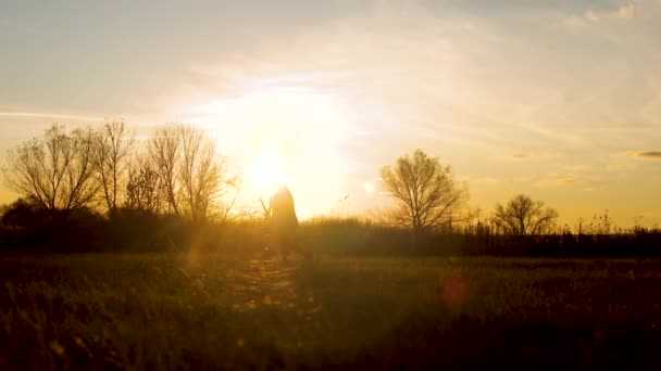 Silhouette di una ragazza che gioca con un cane nel parco al tramonto. La padrona di casa cammina con un animale domestico. Donna felice con il suo amato cane corre — Video Stock