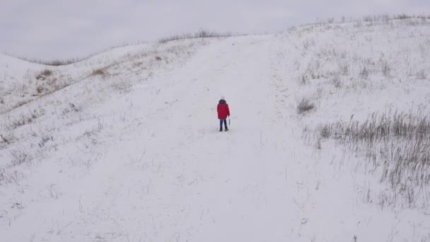 Дитина йде на білій сніговій горі з санями в руках. Зимові ігри. Холодні кліматичні умови. Сніжні гори для лижного спорту. Святкування Різдва — стокове відео