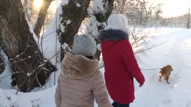 Två flickor och hund och hund promenera längs sökvägen i Vinterparken. Barnen leker med hunden i snön i vinter i skogen. lycklig familj promenader deras sällskapsdjur. — Stockvideo