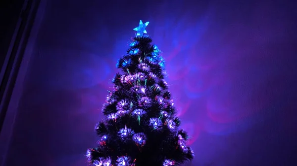 Hermoso árbol de Navidad en la habitación, decorado con una guirnalda luminosa y una estrella. vacaciones para niños y adultos. Año Nuevo 2020 estado de ánimo. Árbol de Navidad, felices fiestas. Interior de Navidad . —  Fotos de Stock