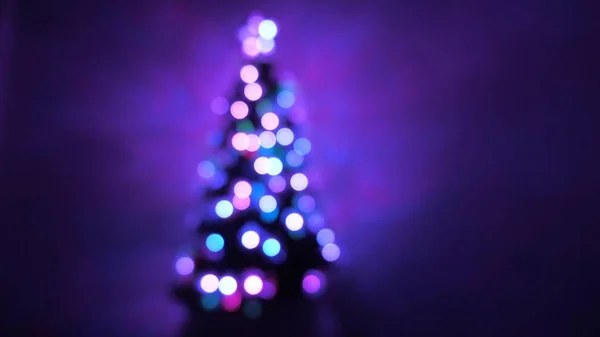 房间里挂着五颜六色的圣诞树，装饰着明亮的花环和一颗星星。 儿童和成年人的假日。 新年。 圣诞树，节日快乐。 圣诞内部. — 图库照片