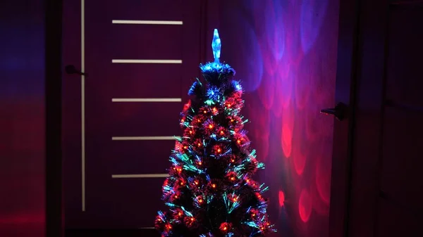 Árbol de Navidad, felices fiestas. Interior de Navidad. hermoso árbol de Navidad en la habitación, decorado con una guirnalda luminosa y una estrella. vacaciones para niños y adultos. Año Nuevo 2020 humor. — Foto de Stock