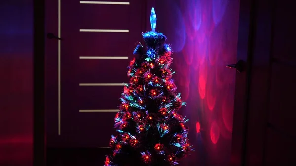 Christmas tree, happy holidays. Christmas interior. beautiful Christmas tree in room, decorated with a luminous garland and a star. holiday for children and adults. New Year 2020 mood.
