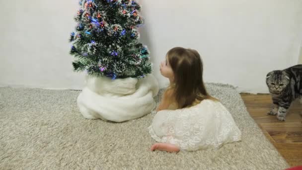 Uma menina brinca perto de uma árvore de Natal em uma sala de crianças com um gato. Bebê e árvore de Natal. Férias de Natal — Vídeo de Stock