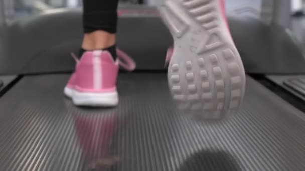 Piernas de la chica en zapatillas de deporte van a lo largo de la cinta de correr. Primer plano. Fortalecimiento de los músculos de las piernas al caminar. carga cardiovascular. La mujer del club de fitness va a pasear. Concepto de estilo de vida. pérdida de peso en el gimnasio . — Vídeos de Stock