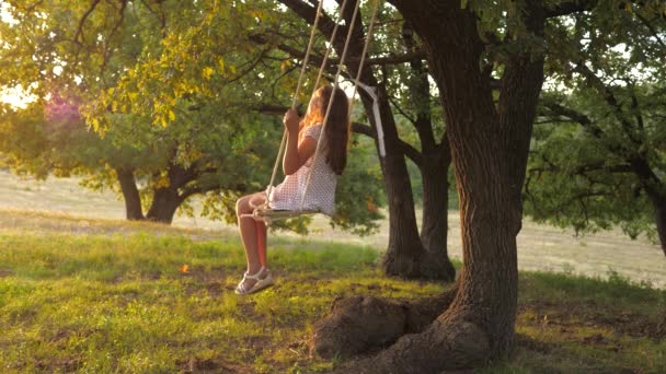 행복 한 어린 시절의 컨셉. 어린이들은 노을 공원에 있는 오크 가지 위에서 줄을 펄럭이며 날아간다. 소녀는 웃고, 기뻐 한다. 햇볕에 나무 아래서 그네를 타고 다니는 어린 소녀. 아이들 과놀고 있습니다. 행복이라는 개념 — 비디오