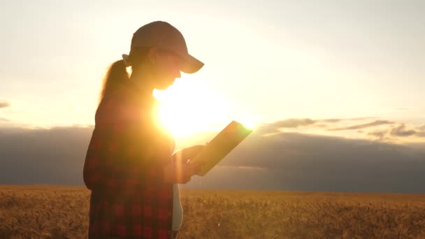 Empresária com um tablet estuda a cultura do trigo no campo. A mulher agricultora trabalha com uma pastilha em um campo de trigo, planeja uma colheita de grão. mulher de negócios no campo de planejamento de sua renda. conceito de agricultura . — Vídeo de Stock