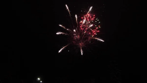 Świecący pokaz fajerwerków. kolorowe nocne eksplozje na czarnym niebie. piękne wielokolorowe fajerwerki na nocnym niebie. Święto noworocznych fajerwerków. lśniące fajerwerki ze światłami bokeh w nocy — Zdjęcie stockowe