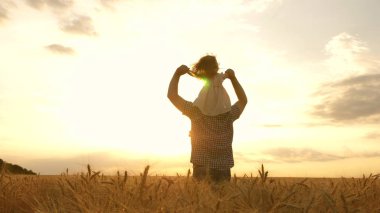 Küçük kız babasının omuzlarında. Bebek ve babası buğday tarlasında seyahat ediyorlar. Çocuk ve ebeveyn doğada oynuyorlar. Mutlu aile ve çocukluk kavramı. Yavaş çekim