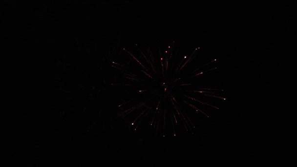 Schönes mehrfarbiges Feuerwerk am Nachthimmel. Zeitlupe. Glühendes Feuerwerk. Farbige nächtliche Explosionen am schwarzen Himmel. Silvesterfeuerwerk. Leuchtendes Feuerwerk mit Bokeh. — Stockvideo