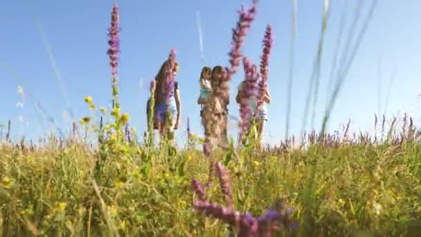 Feliz mamá e hijas, un bebé viajan a través del campo con mochilas en colores en el verano. Vida familiar. Las chicas turísticas y un bebé acampan en el bosque. Viajeros del trabajo en equipo — Vídeo de stock