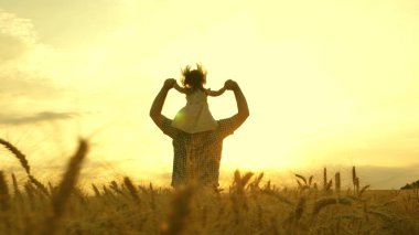 Çocuk ve baba olgunlaşan buğday tarlasında oynuyorlar. Küçük kız babasının omuzlarında. Bebek ve babası sahada seyahat ediyor. Çocuk ve ebeveyn doğada oynuyorlar. Mutlu aile ve çocukluk kavramı