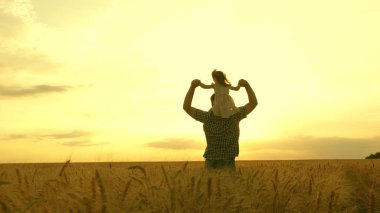 Çocuk ve baba olgunlaşan buğday tarlasında oynuyorlar. Küçük kız babasının omuzlarında. Bebek ve babası sahada seyahat ediyor. Çocuk ve ebeveyn doğada oynuyorlar. Mutlu aile ve çocukluk kavramı