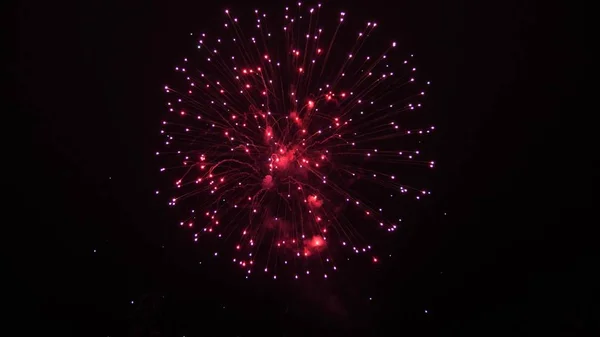 Mooi multi gekleurd vuurwerk in de nachtelijke hemel. Oudejaarsavond vuurwerk vieren. Schijnend vuurwerk met bokeh lichten aan de nachtelijke hemel. gloeiende vuurwerk show. gekleurde nacht explosies in zwarte lucht — Stockfoto