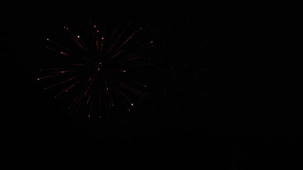 Schönes mehrfarbiges Feuerwerk am Nachthimmel. Silvesterfeuerwerk. leuchtendes Feuerwerk mit Bokeh-Lichtern am Nachthimmel. Glühendes Feuerwerk. Farbige nächtliche Explosionen am schwarzen Himmel — Stockvideo