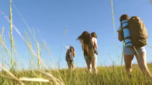 Teamwork travelers. travelers go with backpacks through meadow. mom and daughters, a little baby travel across field with backpacks in colors in summer. Tourist girls and a little baby go camping . — ストック動画