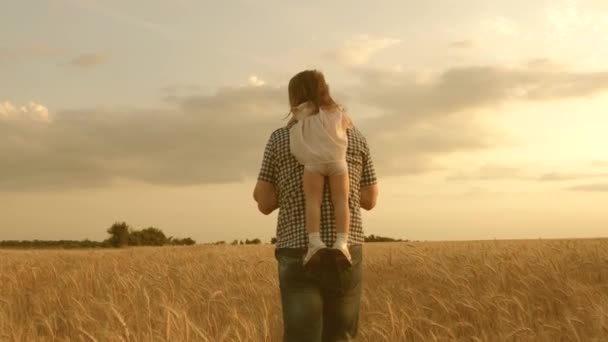 Lycklig familj och barndom koncept. Dotter på fäders axlar. Glada barn och far leker på ett fält av mognande vete. Pojke och pappa reser på planen. barn och förälder lek i naturen. — Stockvideo