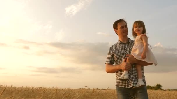 Child in the arms of the father. little daughter and father are playing in a field of ripening wheat. baby boy and dad travel on field. kid and parent play in nature. happy family and childhood — Stockvideo