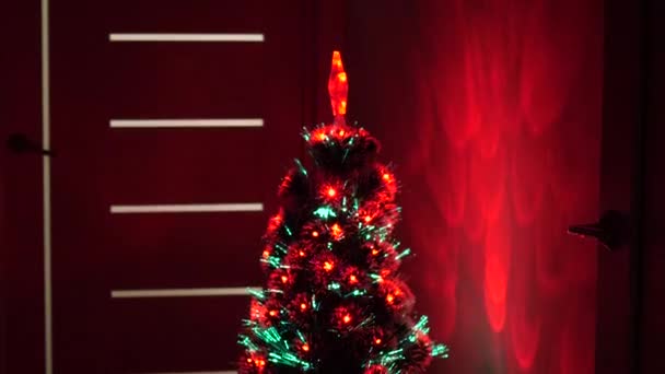 Árvore de Natal, boas festas. Interior de Natal. bela árvore de Natal no quarto, decorado com uma guirlanda luminosa e uma estrela. férias para crianças e adultos. Ano Novo 2020 humor. — Vídeo de Stock