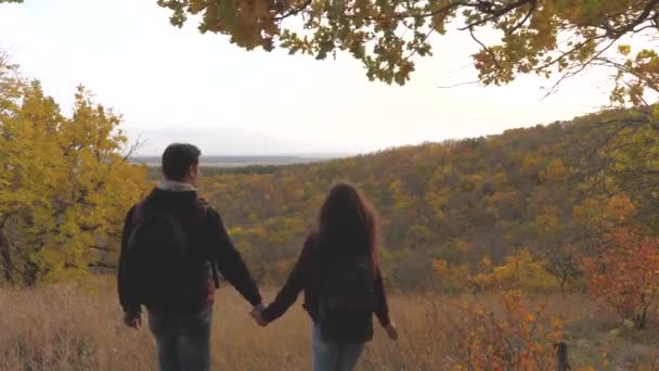 Viajantes, homens e mulheres, apreciam a beleza da natureza do topo da montanha, levantam as mãos e se regozijam. Viajantes de trabalho em equipa. turistas homem e mulher viagem de mãos dadas . — Vídeo de Stock