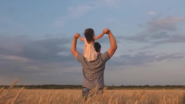 Маленька щаслива донька на плечах батьків у полі проти блакитного неба. хлопчик і тато подорожують на пшеничному полі. дитина і батько грають на природі. щаслива концепція сім'ї та дитинства. Повільний рух — стокове відео