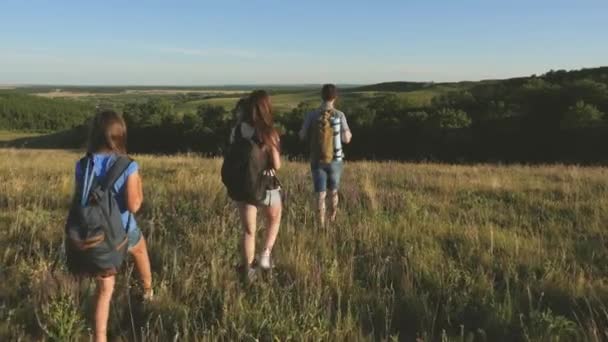 Gezginler güzel manzaraya ve doğaya hayran kalırlar. Turistlerin takım çalışması. Zafere doğru hareket. Gezginler sırt çantalarıyla çayıra giderler. Kırsalda çocuklu turist ailesi. — Stok video