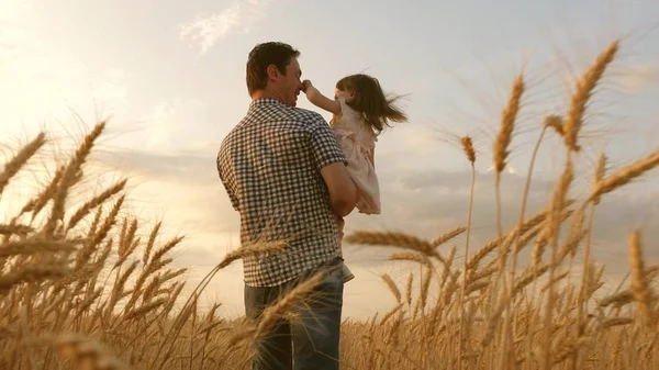 Babasının kollarında küçük bir kız. Mutlu çocuk ve baba olgunlaşan buğday tarlasında oynuyorlar. Bebek ve babası sahada seyahat ediyor. Çocuk ve ebeveyn doğada oynuyorlar. Mutlu aile ve çocukluk — Stok fotoğraf