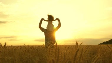 Çocuk ve baba olgunlaşan buğday tarlasında oynuyorlar. Küçük kız babasının omuzlarında. Bebek ve babası sahada seyahat ediyor. Çocuk ve ebeveyn doğada oynuyorlar. Mutlu aile ve çocukluk kavramı