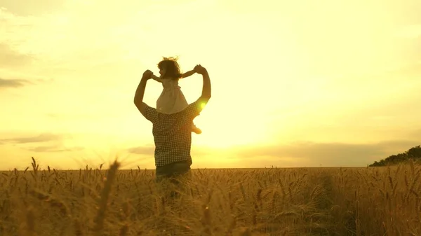 Bambino e padre stanno giocando in un campo di grano maturazione. figlioletta sulle spalle dei padri. bambino e papà viaggiano sul campo. bambino e genitore giocano in natura. famiglia felice e concetto di infanzia — Foto Stock