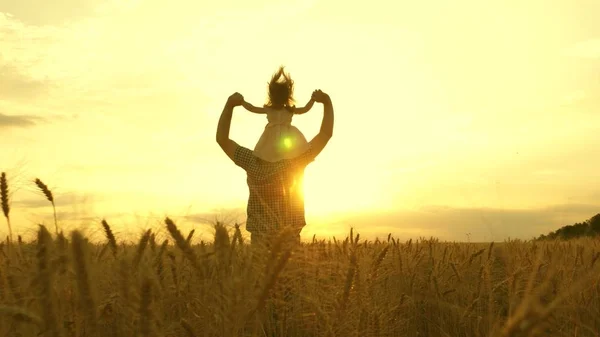 Niño y padre están jugando en un campo de trigo en maduración. Hijita sobre hombros paternos. niño y papá viajan al campo. niño y los padres juegan en la naturaleza. familia feliz y concepto de infancia —  Fotos de Stock