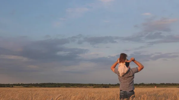 Маленька щаслива донька на плечах батьків у полі проти блакитного неба. хлопчик і тато подорожують на пшеничному полі. дитина і батько грають на природі. щаслива концепція сім'ї та дитинства. Повільний рух — стокове фото