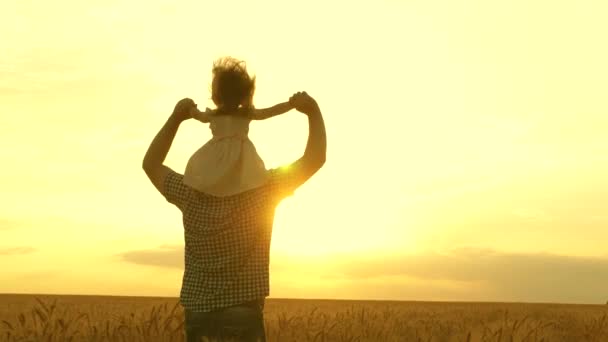 Malá šťastná dceruška na otcových ramenou v poli na pozadí žlutého západu slunce. chlapeček s tátou cestují na pšeničném poli. děti a rodiče si hrají v přírodě. šťastný rodinný a dětský koncept. — Stock video