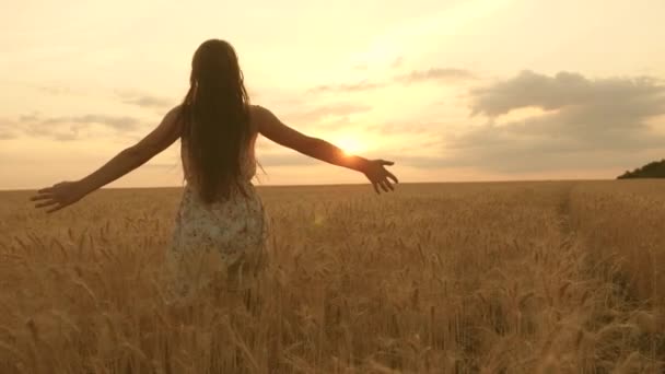 Una niña feliz camina a través de un campo de trigo amarillo y toca las espigas de trigo con sus propias manos. En cámara lenta. chica viaja en el campo. El concepto de ecoturismo . — Vídeos de Stock