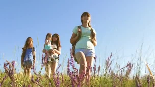 Týmová práce poutníků. Šťastná máma a dcery, malé dítě cestovat přes pole s batohy v barvách v létě. rodinné dobrodružství v přírodě. Turistky a malé miminko jedou kempovat. — Stock video