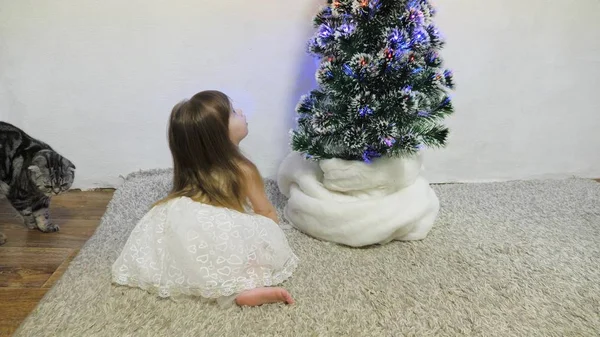 Uma menina e um gato estão brincando em um quarto junto à árvore de Natal. conceito de infância feliz. criança e árvore de Natal com belas guirlandas. Natal feriados conceito — Fotografia de Stock
