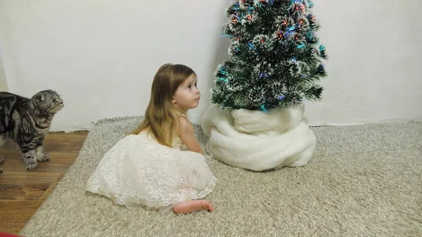 Mała dziewczynka i kot bawią się w pokoju przy choince. Szczęśliwego dzieciństwa. dziecko i choinka z pięknymi girlandami. Koncepcja świąt Bożego Narodzenia — Zdjęcie stockowe