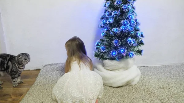 一个小女孩和一只猫在圣诞树旁的房间里玩耍。 快乐童年的概念。 有漂亮花环的小孩和圣诞节树。 圣诞节假期的概念 — 图库照片