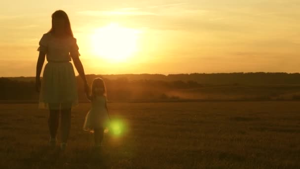 Ευτυχισμένη οικογένεια περπατάει το ηλιοβασίλεμα. Η μητέρα και το μωρό ξεκουράζονται στο πάρκο. Το χαρούμενο παιδί παίζει με τη μητέρα του στο λιβάδι. Η μικρή κόρη και η μαμά περπατούν στο χωράφι κρατώντας τα χέρια. μωρό κρατά το χέρι μαμάδες. — Αρχείο Βίντεο