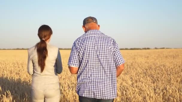 Ondernemers boeren bespreken tarweoogst op het veld. zakelijk teamwerk. Rijpen van graan en oogsten. Agronomen controleren de kwaliteit van tarwe. Landbouwconcept. — Stockvideo