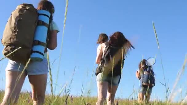 Podróżnicy w pracy zespołowej. Podróżnicy idą z plecakami przez łąkę. Mama i córki, małe dziecko podróżujące latem przez pole z plecakami w kolorach. Turystki i małe dziecko jadą na kemping. . — Wideo stockowe