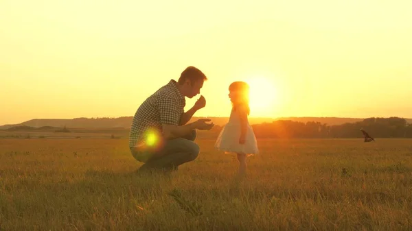 Enfant cueille des fleurs dans une prairie avec son père. La petite fille marche avec papa dans la prairie en se tenant la main. enfant tient la main du père. promenades en famille en soirée hors de la ville. Papa et bébé dans le parc . — Photo